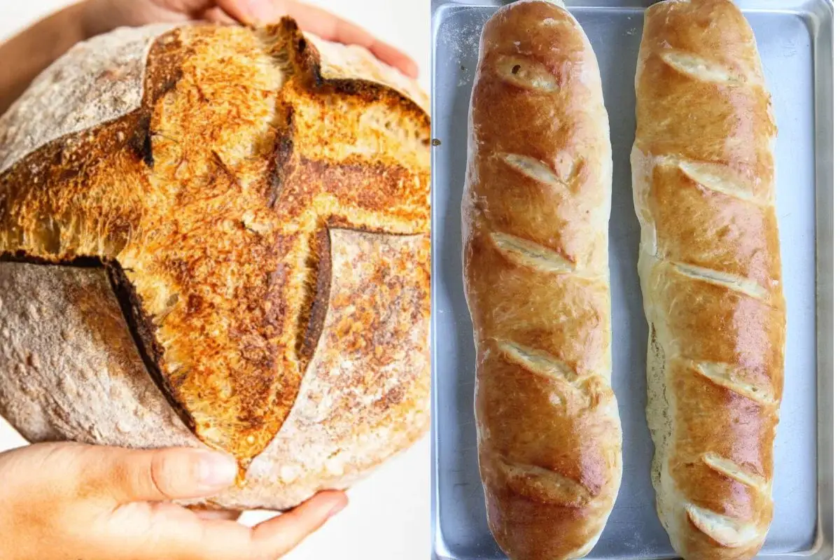 Differences in Sourdough Bread and French Bread