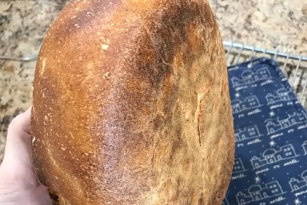 How to Fix Sourdough Bread Burnt Bottom in 3 Easy Methods