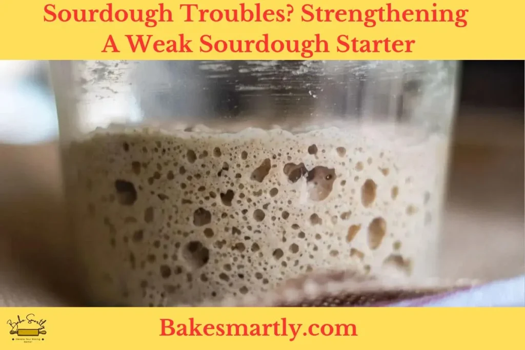 Sourdough Troubles? Strengthening A Weak Sourdough Starter