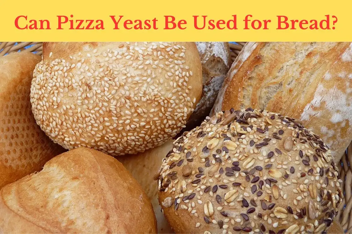 Can Pizza Yeast Be Used for Bread - by bakesmartly
