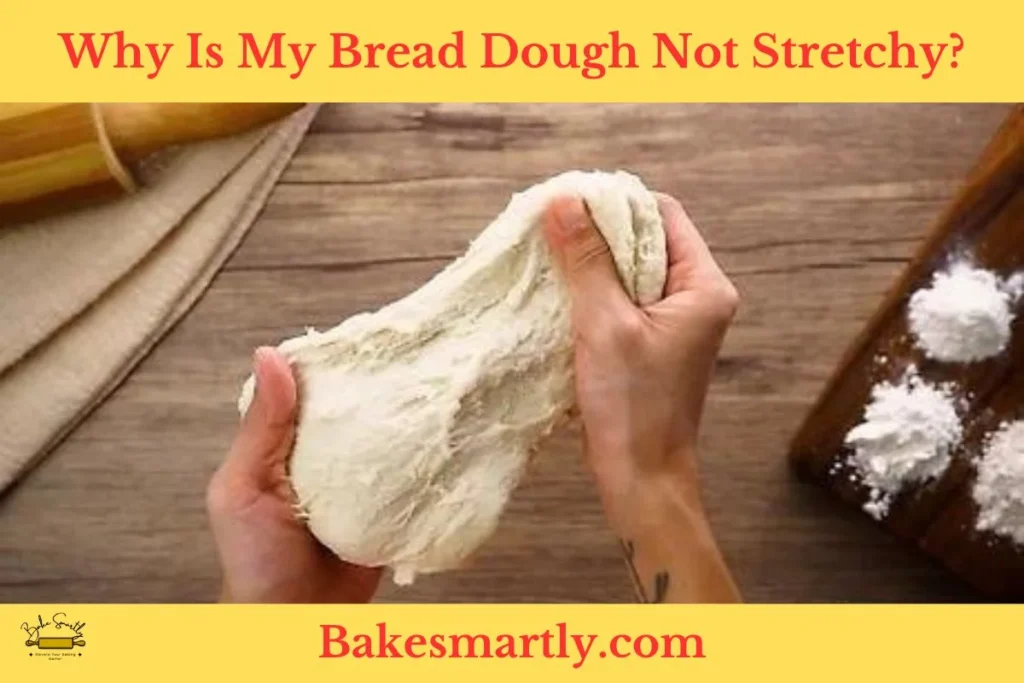 Why Is My Bread Dough Not Stretchy by Bakesmartly