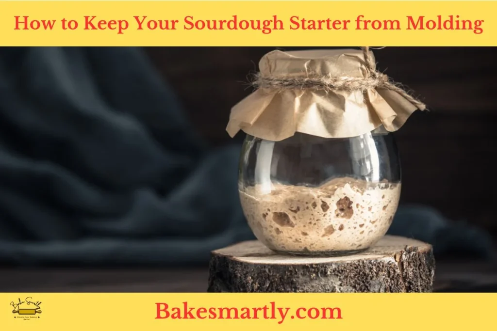 How to Keep Your Sourdough Starter from Molding