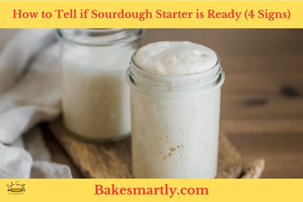 How to Tell if Sourdough Starter is Ready (4 Signs)