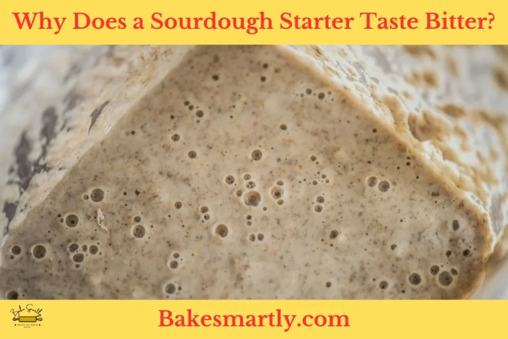 Why Does a Sourdough Starter Taste Bitter by bakesmartly