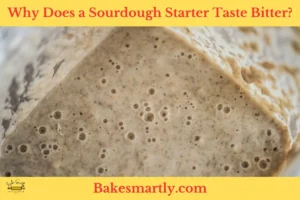 Why Does a Sourdough Starter Taste Bitter by bakesmartly