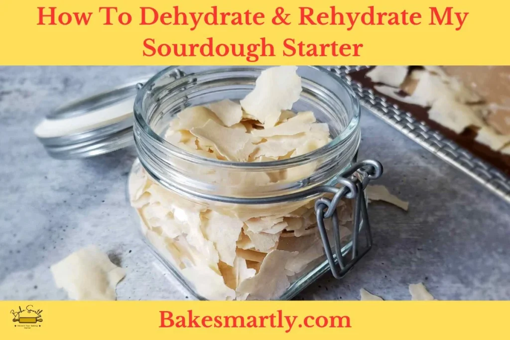 How To Dehydrate & Rehydrate My Sourdough Starter