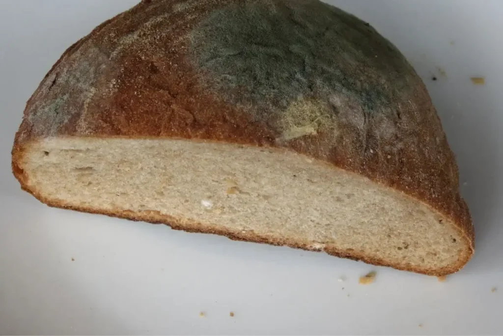 How to Prevent Bread from Molding Quickly