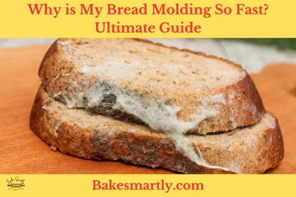 Why is My Bread Molding So Fast - By Bake Smartly