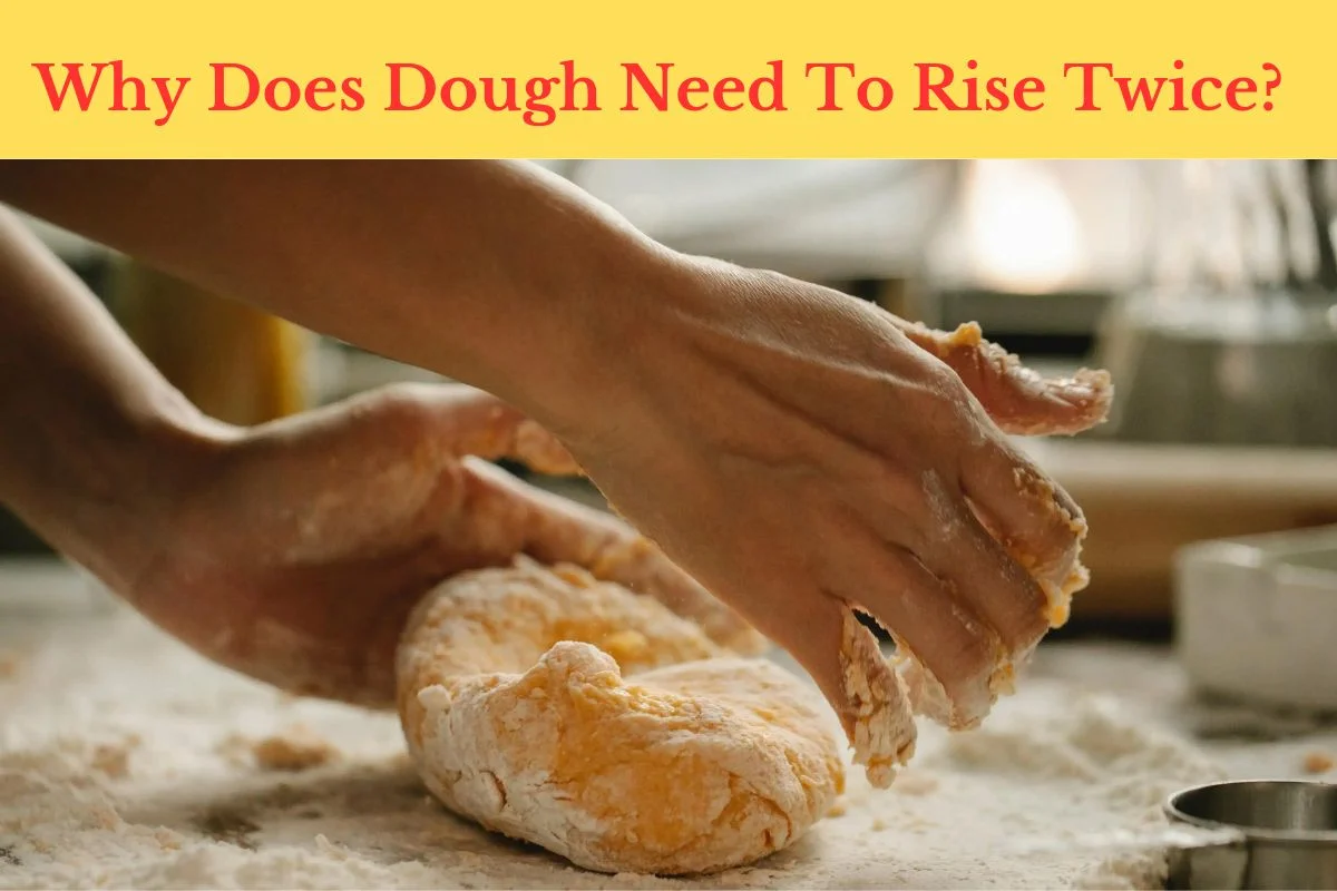 Why Does Dough Need To Rise Twice by Bake Smartly