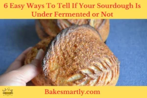 6 Easy Ways To Tell If Your Sourdough Is Under Fermented or Not