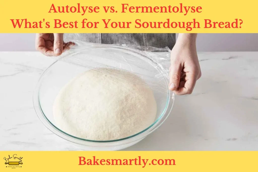 Autolyse vs. Fermentolyse : What's Best for Your Sourdough Bread