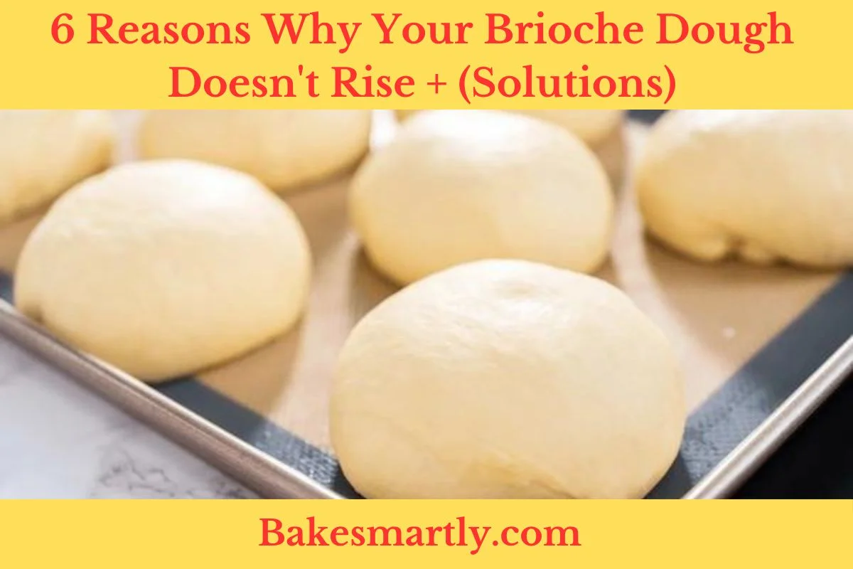 6 Reasons Why Your Brioche Dough Doesn't Rise + (Solutions)