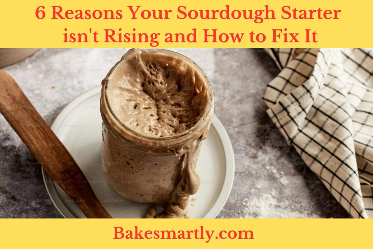 6 Reasons Your Sourdough Starter isn't Rising and How to Fix It