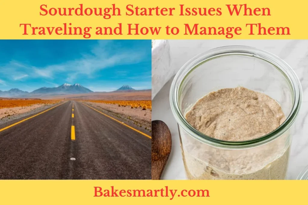 Sourdough Starter Issues When Traveling and How to Manage Them by Bake Smartly
